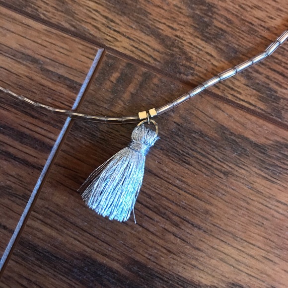 Francesca’s Tassel Necklace - Picture 5 of 5